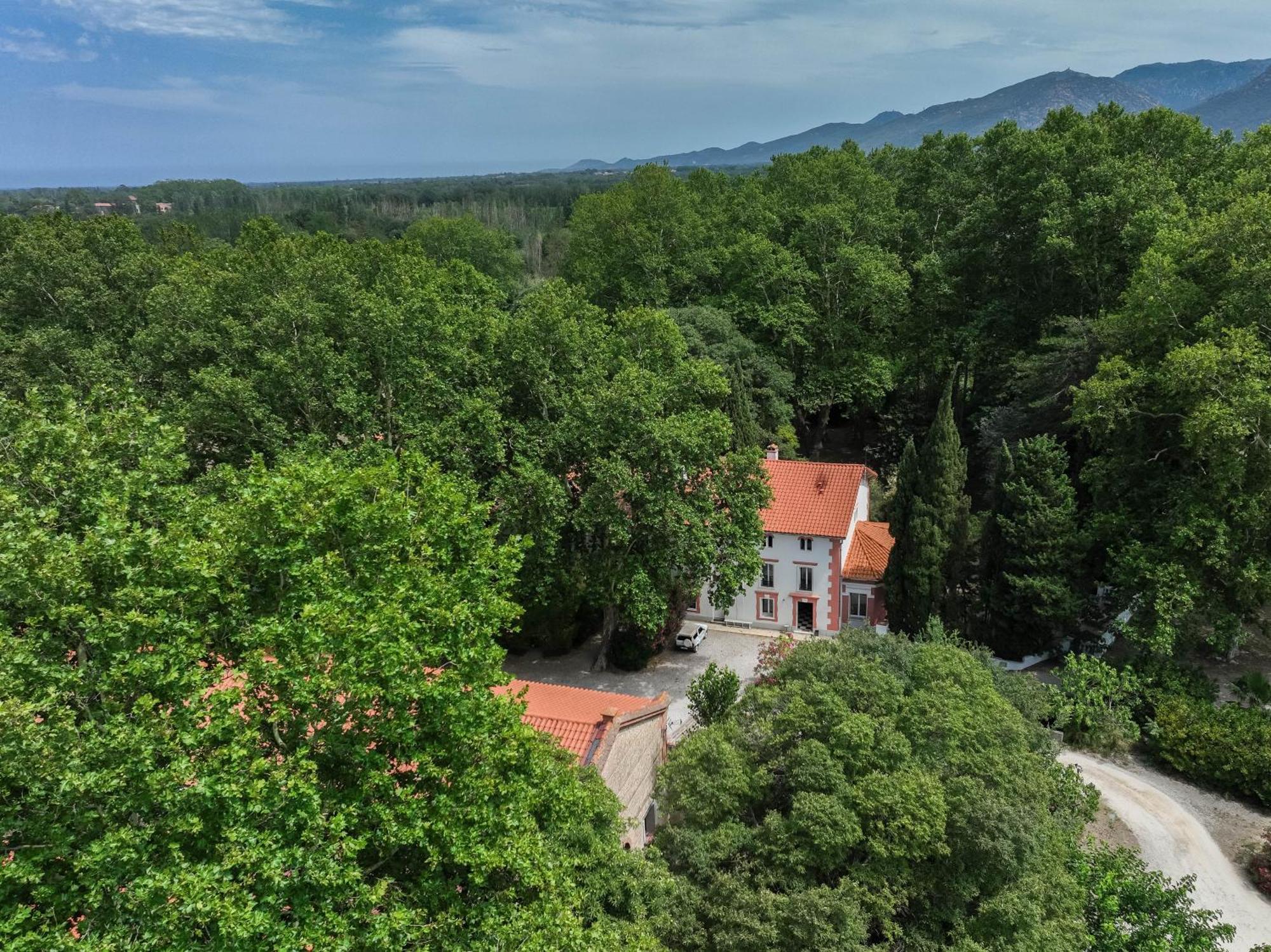 Gites Du Castell De Bles Saint-Génis Εξωτερικό φωτογραφία