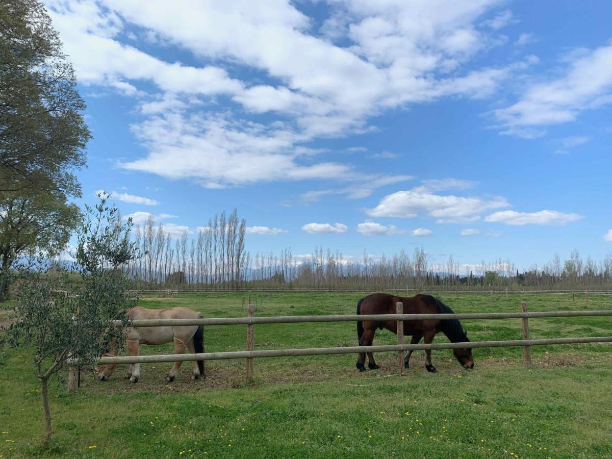 Gites Du Castell De Bles Saint-Génis Εξωτερικό φωτογραφία